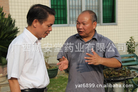 平山镇党委书记覃一钊(左二,镇长韦全贤(右三,人大主席覃志欢