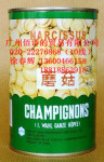 水仙蘑菇425克 水仙花牌 罐头 罐头代理 广州副食品代理