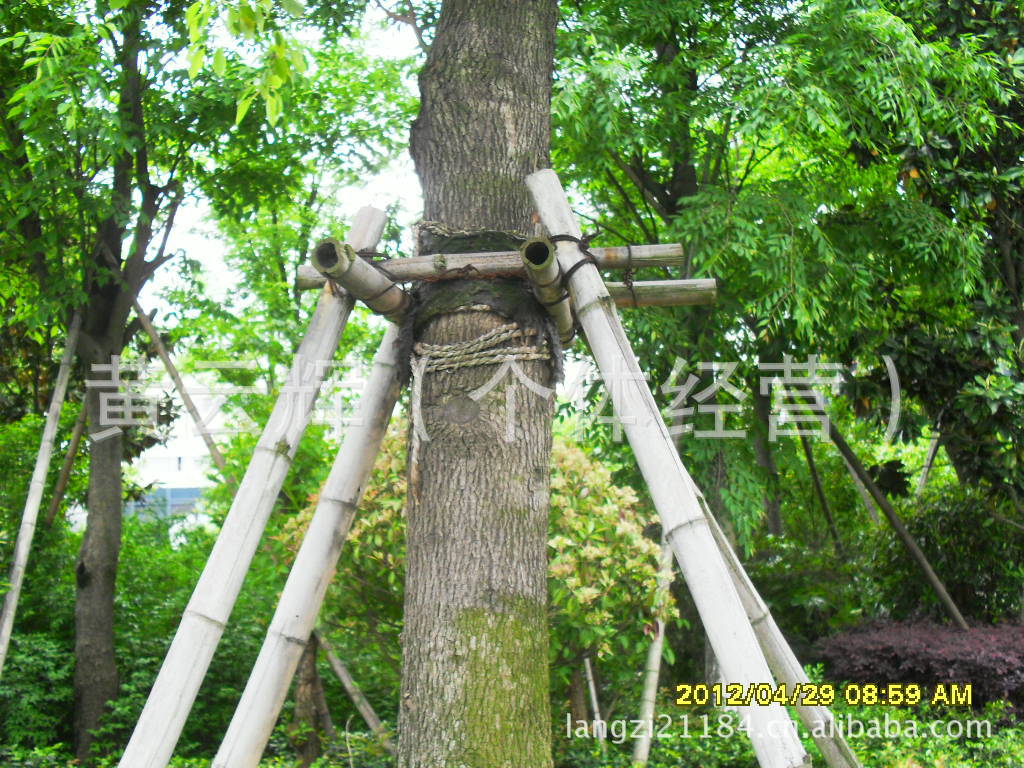 木友牌新型绿化树木保护支撑架