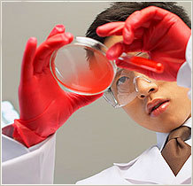 长寿源有效成分来源于天然_worldjv - 阿里巴巴