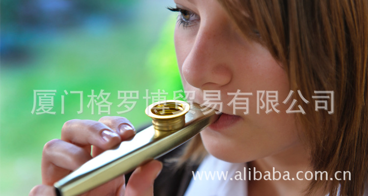 拉克锡笛 The Clarke Tinwhistle 卡祖笛 Kazoo图