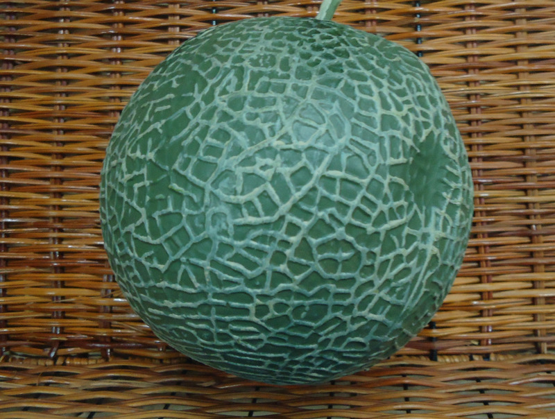 【【厂家直销】仿真水果 哈密瓜 圆形哈密瓜 儿