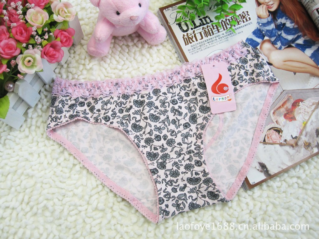 <em>内裤-批发外贸</em>日单纯棉<em>女式</em>内裤 俪纯(Lernonl