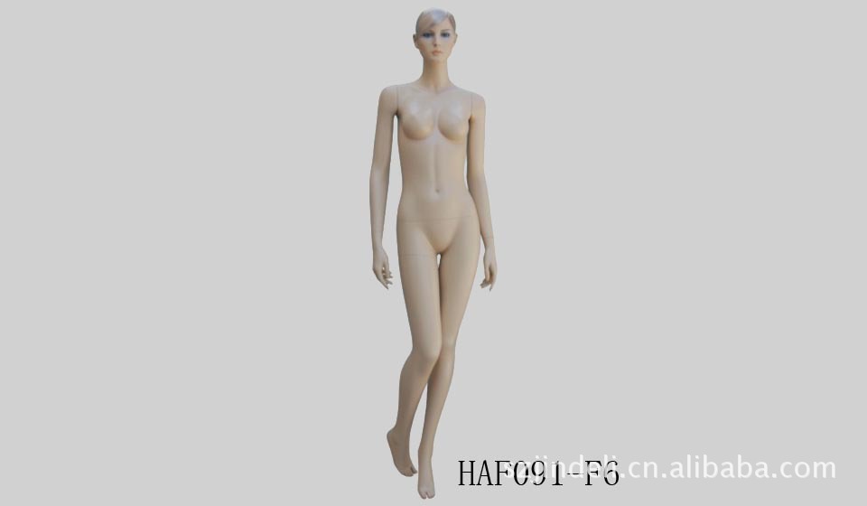 HAF091-F6