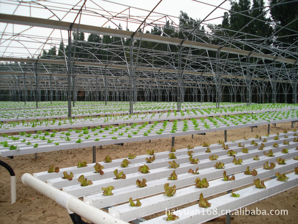 供应澳洲博赛尔无土栽培水培高科技农业种植蔬菜设施及技术推广