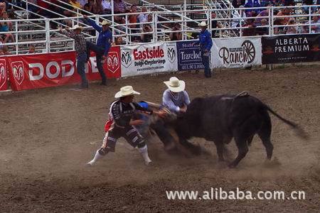 《中国3D电视试验频道》尽现精彩节目