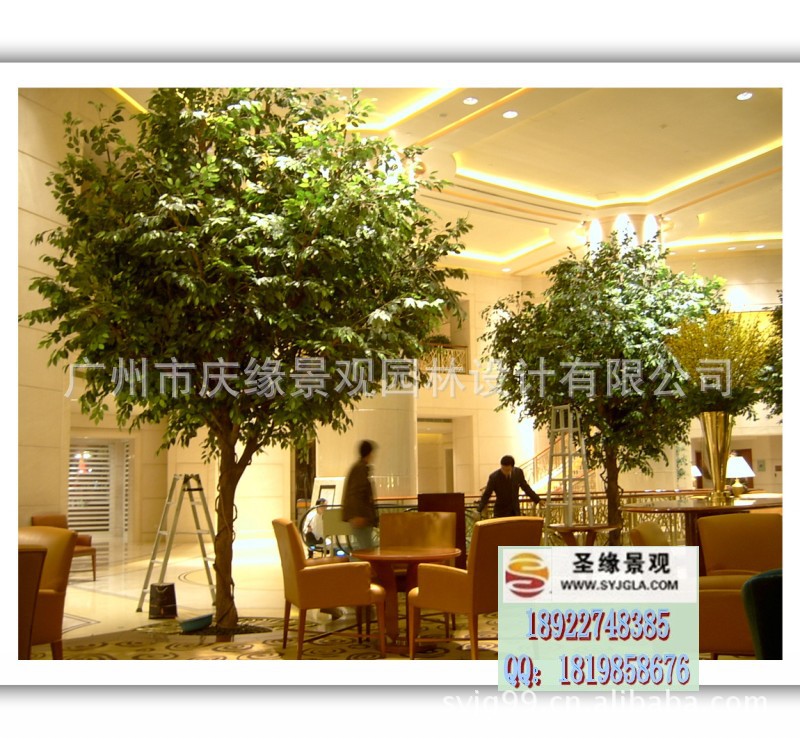 conew_2011315145039775