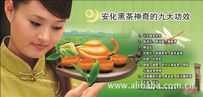 【黑茶百科】喝华莱黑茶,享财富人生!