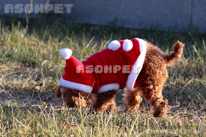 【宠物服装秋冬圣诞装新年 够狗 衣服冬装小型犬