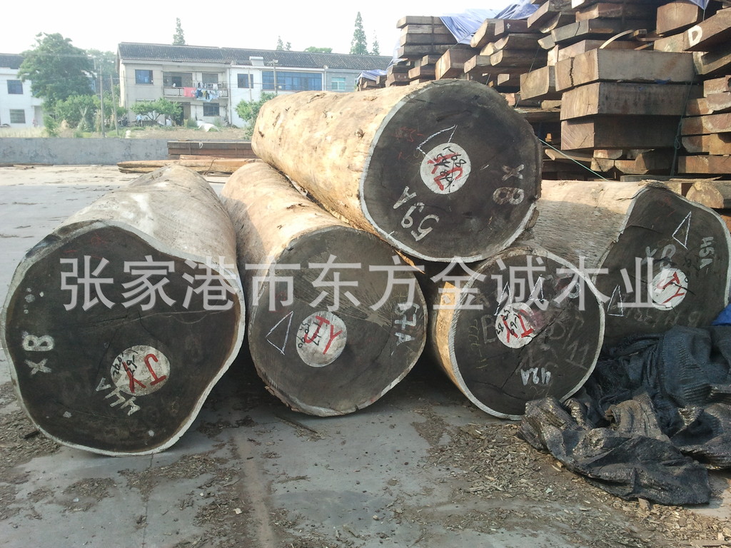 雞翅木 非洲崖豆木 原木貨存張家港 高檔紅木 刨切木皮 裝飾面板 工藝品 茶藝品用材 