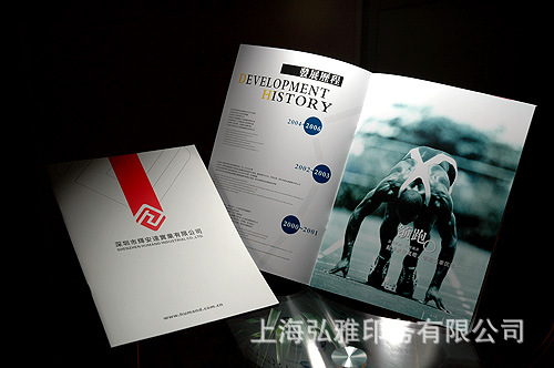 纸类印刷-供应四色彩页 彩色宣传册印刷,画册 