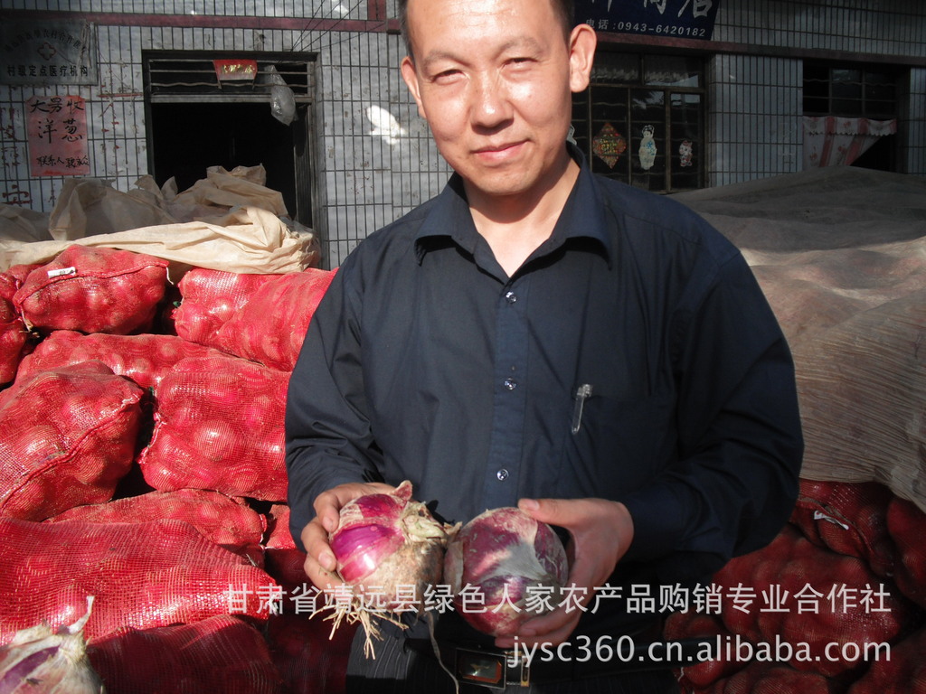 合作社土豆、洋葱、西瓜收购现场实景。