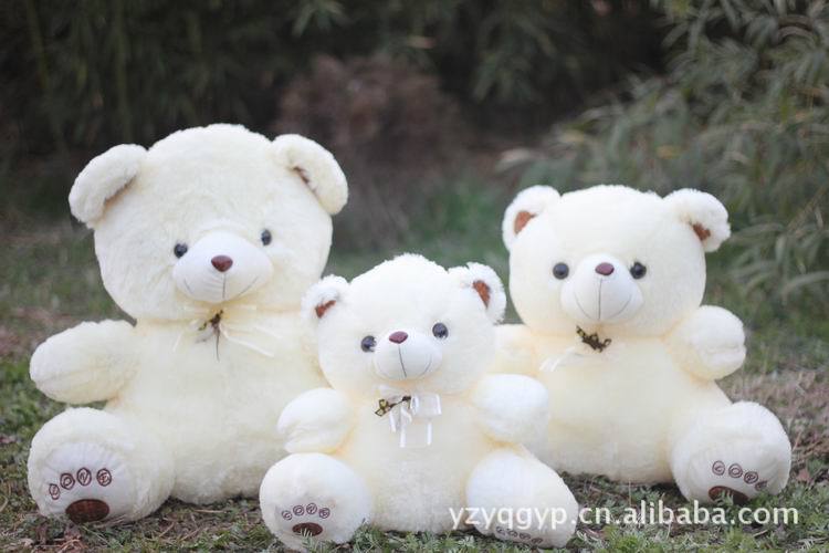 毛绒玩具泰迪熊抱抱熊爱爱熊 坐熊 可爱小熊 公
