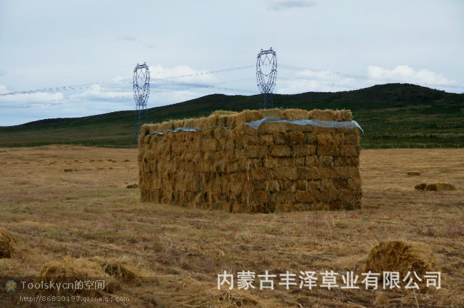 【急售!谷草草捆儿400吨】价格,厂家,图片,饲料,内蒙古丰泽草业有限公司-马可波罗网