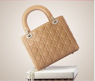 销 呛口小辣椒Dior 真皮女包 撞色<em>女士包 批发</em> 