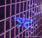 ��Ӧ20L LEDֽ����