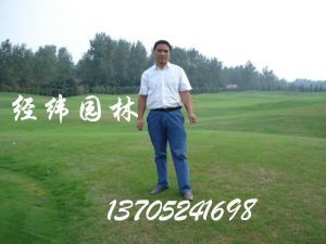 沭阳县经纬园林绿化工程有限公司