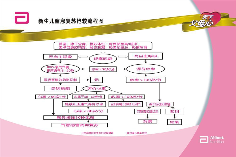 中国新生儿复苏指南_新生儿复苏项目实施方案_中国新生儿复苏流程图