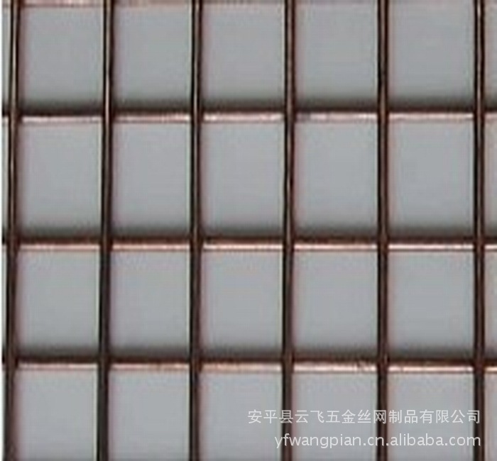 【专业生产镀镀铜焊接护栏网片铜丝云飞丝网注塑机水排6进出图片