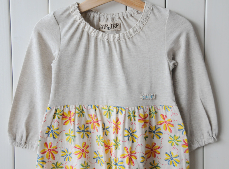 海帝王野生干海参(大连、北朝鲜、日本)图片,海