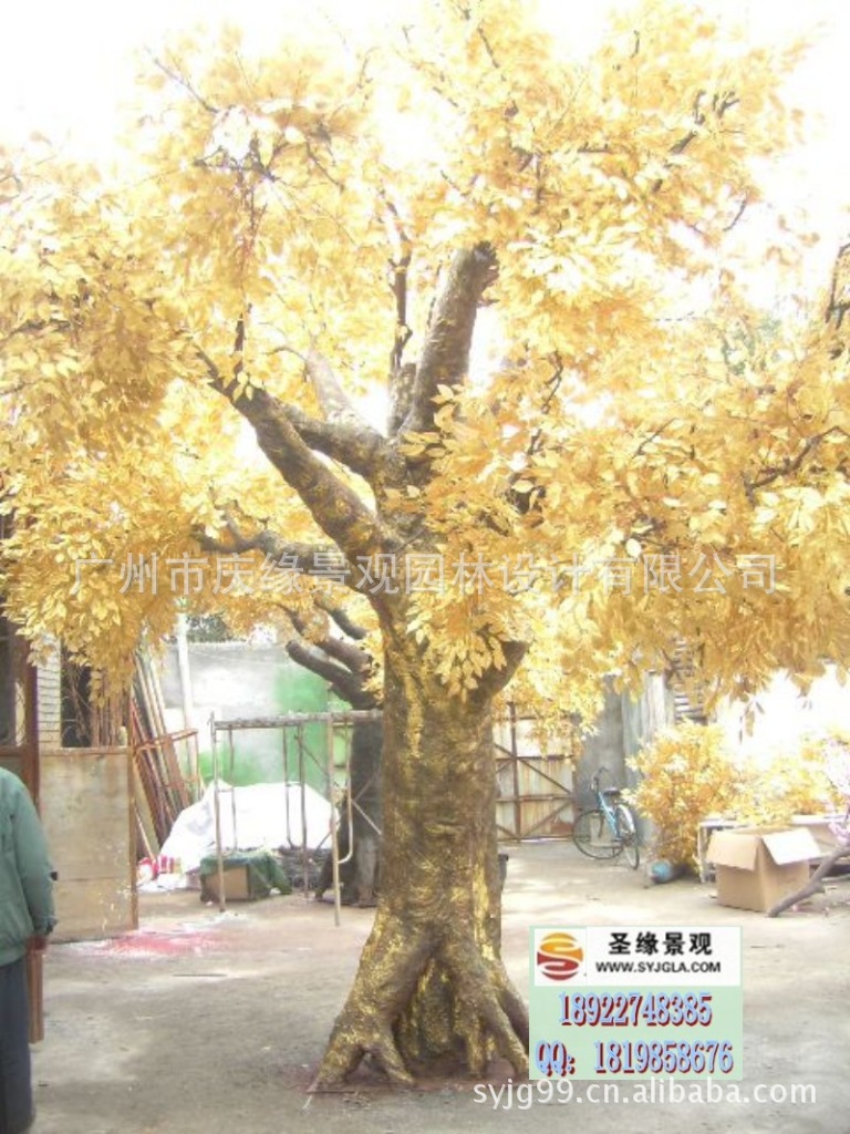 conew_2010033109293698194