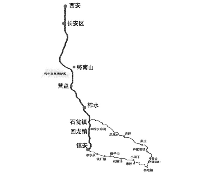 野生木耳  采摘下来的晒干后 镇安木耳主要分布回龙镇 柞水等地 天然