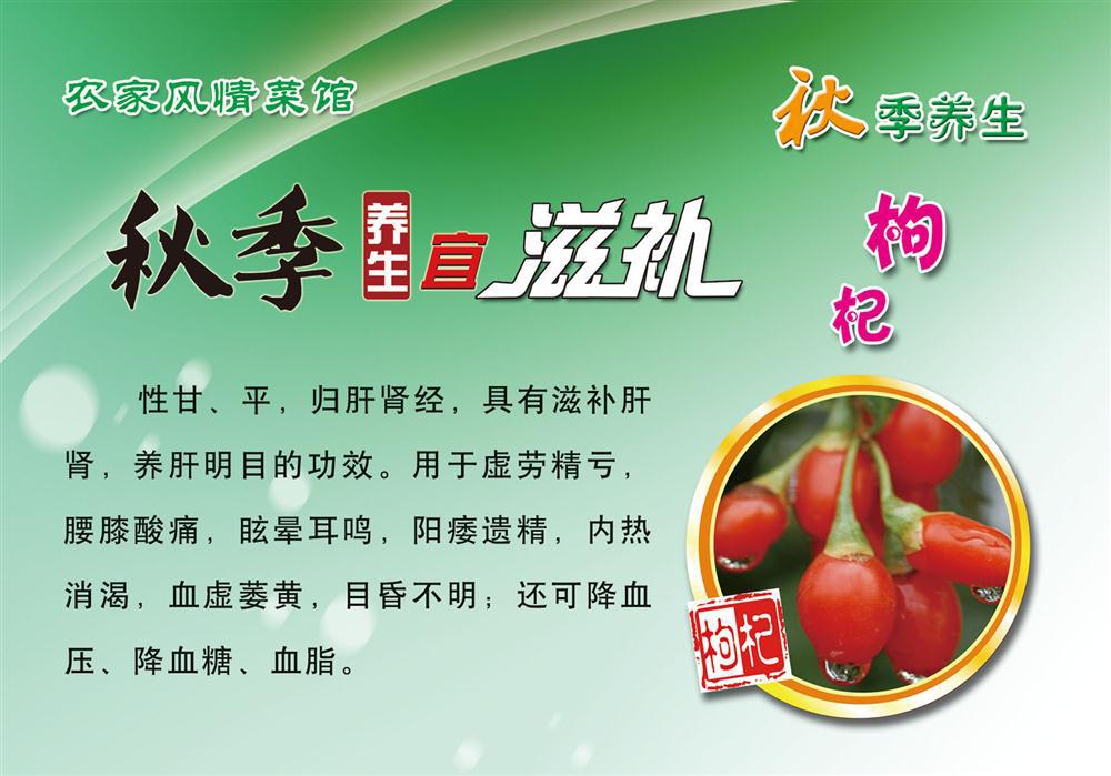 10海报展板素材办公装饰1563秋季养生-枸杞作