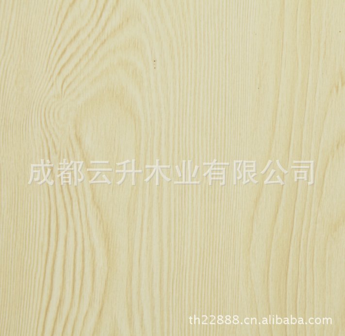 供應馬尾松。落葉松。青松。原木，烘干板，