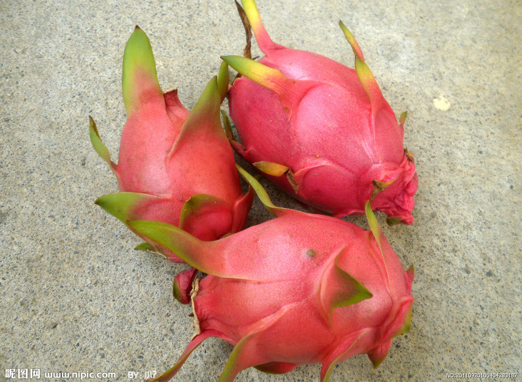 【大量常年供应越南火龙果10kg装寻求各地有