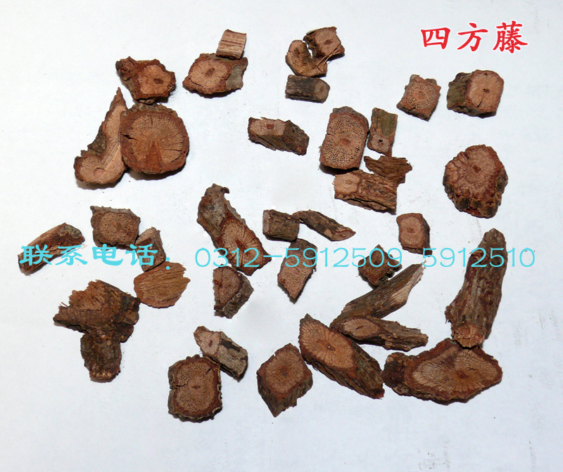 【四方藤 四方藤批发 中药材批发 中药材 地道四
