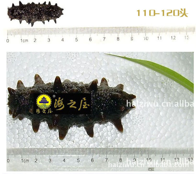 【厂家批发淡干海参,青岛厂家批发原淡干海参