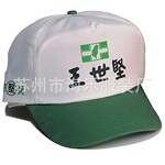 供应上海、常熟、张家港、苏州工作帽、广告帽、太阳帽