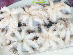 章鱼\/冰鲜章鱼\/丹东东港海鲜批发供应-冰鲜章鱼