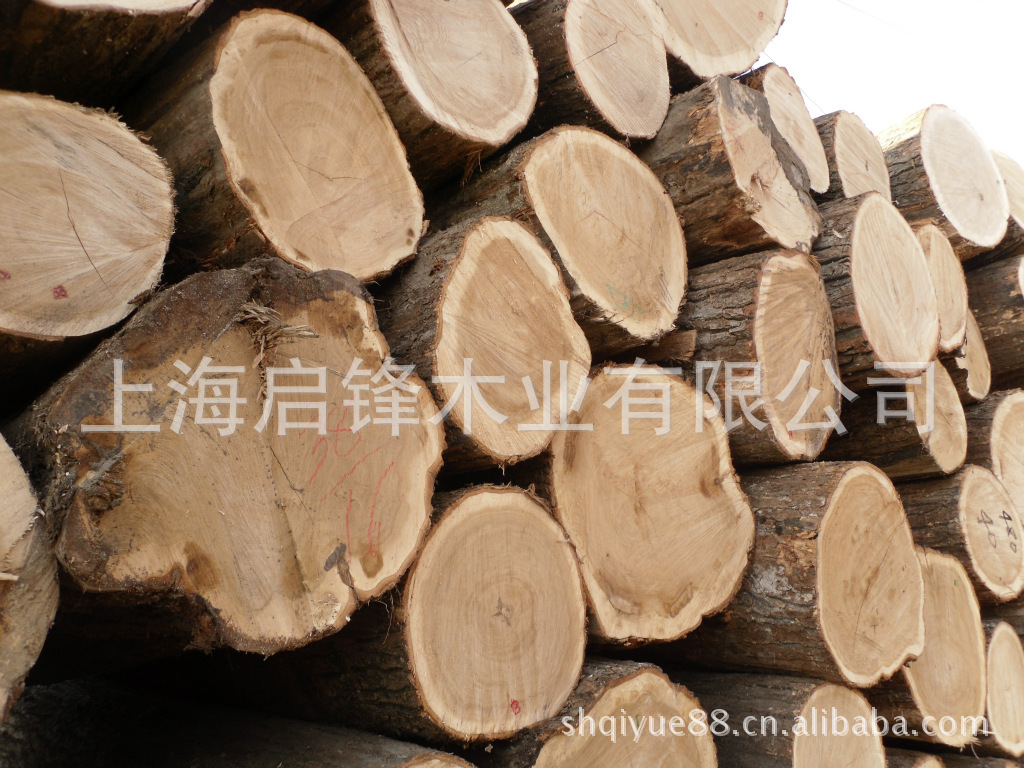 供应批发 国产材 柞木原木