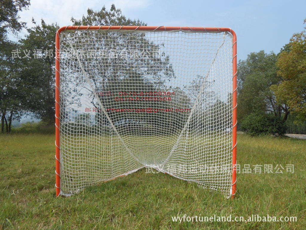 F-S-2-001hockey goal