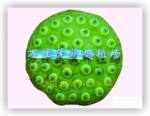 供应湘莲种——寸三莲 湘莲1号 湘莲2号