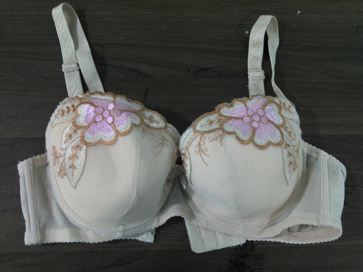 杂款<em>文胸</em>批发 <em>库存胸罩处理</em> <em>文胸</em>尾单混批 <em>库存</em>