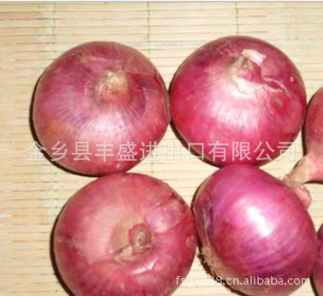 厂家批发 3-5cm优质保鲜红皮洋葱