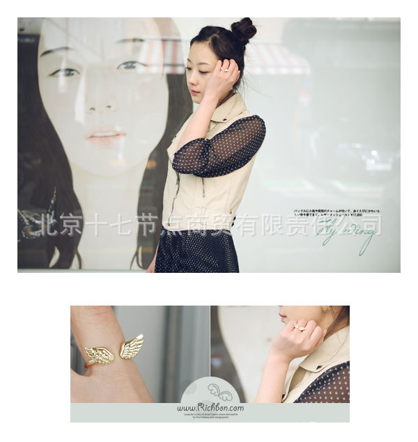进口韩国饰品 fly wing earring飞翔天使翼翅膀 耳钉批发
