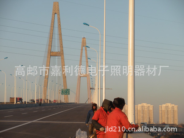 6米,8米,9米,10米,12米,13米、15米单臂路灯,专业厂家