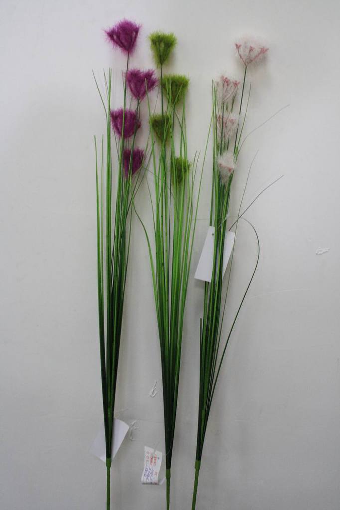 FLY0143-0147 单枝蒲公英洋葱草 厂价直销图
