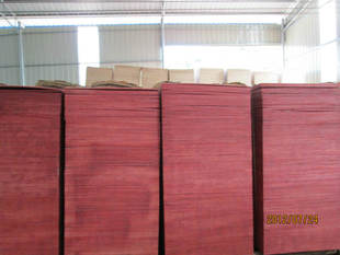 全国招商建筑模板   装修胶合板   松木方料