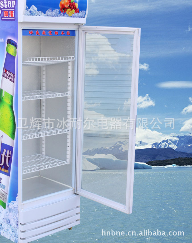 冰耐尔冷藏保鲜展示柜 立式冰柜冰箱商用单门立式冷饮料柜
