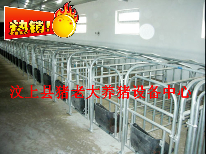 【生产加工】猪用限位栏  养猪定位栏  经久耐用   节约空间