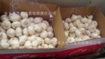 ���ڹ�Ӧ���ʱ��ʴ��� ������� ��ͷ