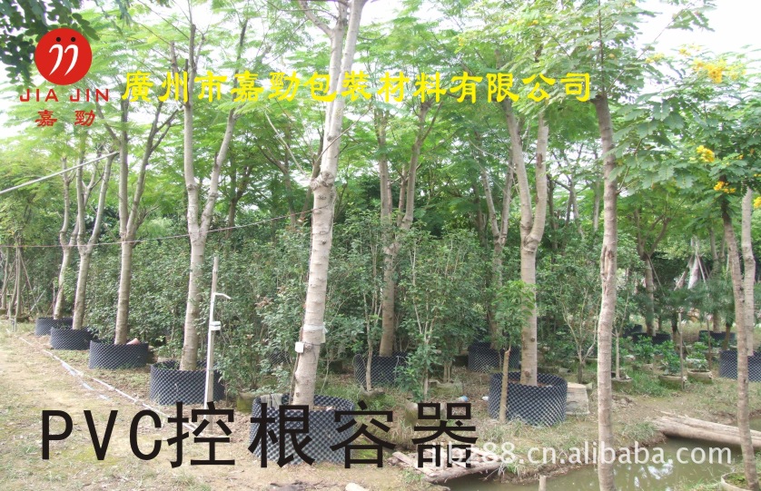 PVC育树控根容器