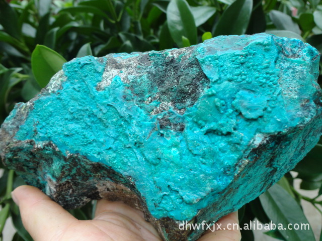 沃福新加新 天然硅孔雀石矿石 观赏石图片,沃福新加新 天然硅孔雀石矿石 观赏石图片大全,东海县沃福新加新商贸有限公司-7-马可波罗网