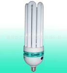 ���ʽ��ܵ� 5U 60W  ��������ɫ��ҪǮ����������ϣ�