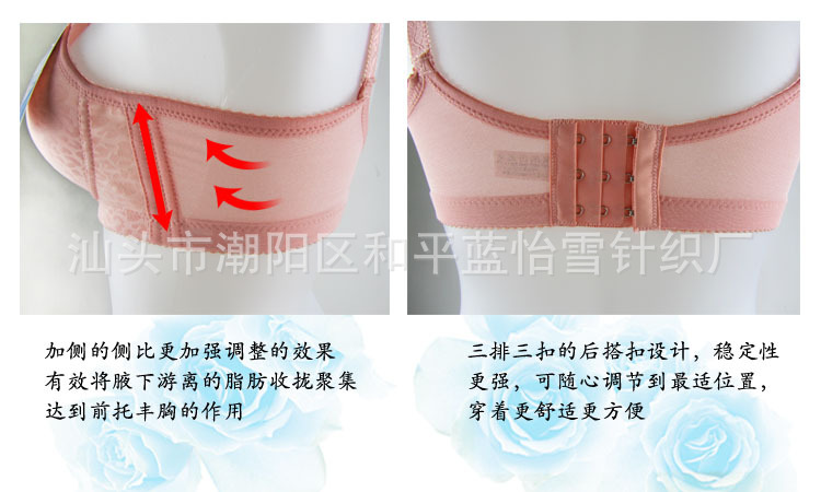 【<em>蓝怡雪</em>光面定型<em>无托</em>提花<em>文胸</em>WA230033】价