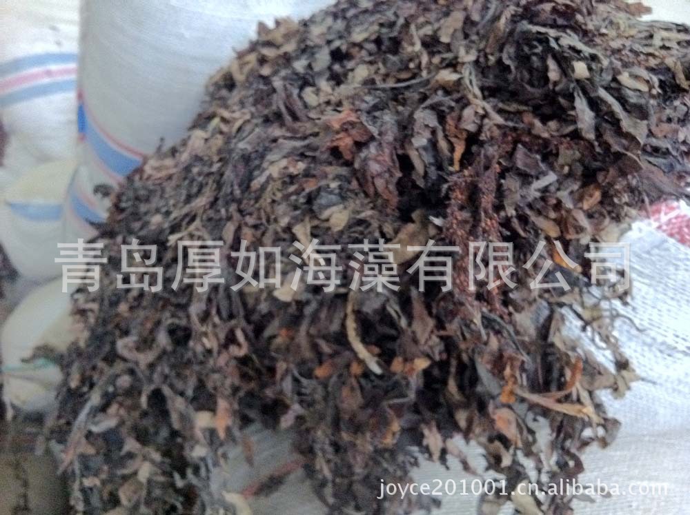 海参鲍鱼专用饲料大叶菜,厂家直供,欢迎选购